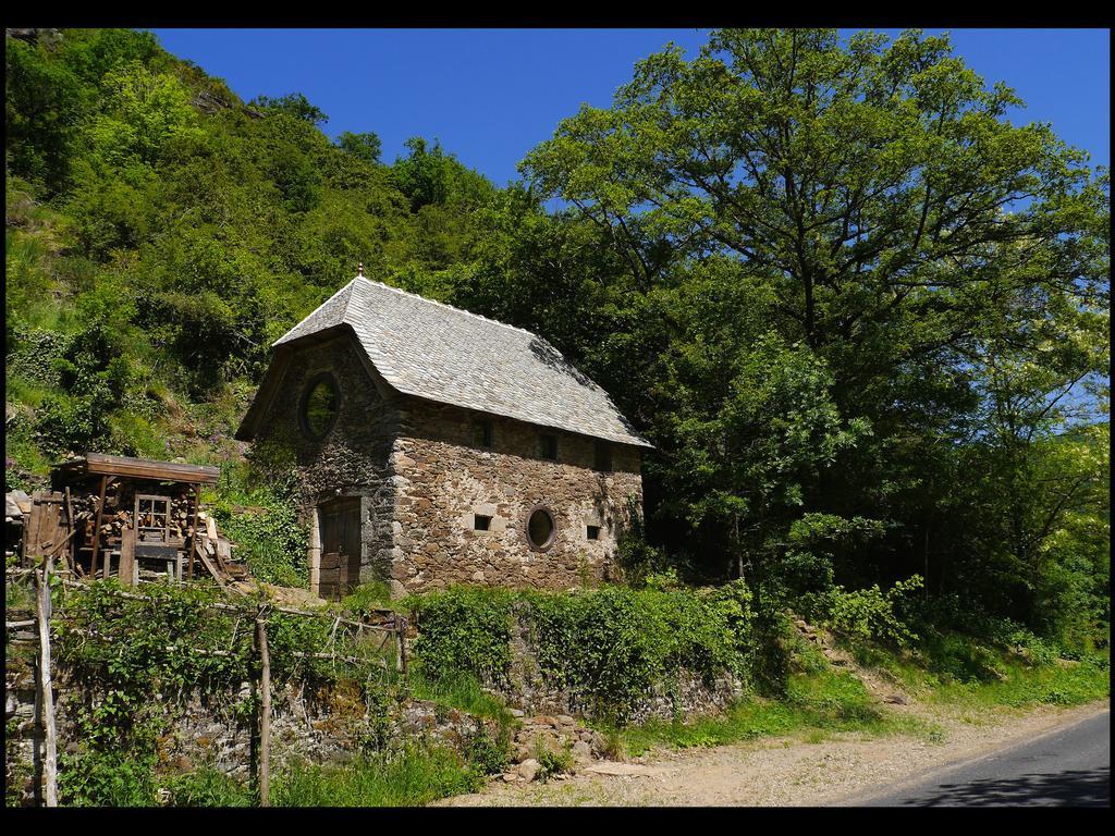 Bed and Breakfast Malrieu Le Fel Zimmer foto